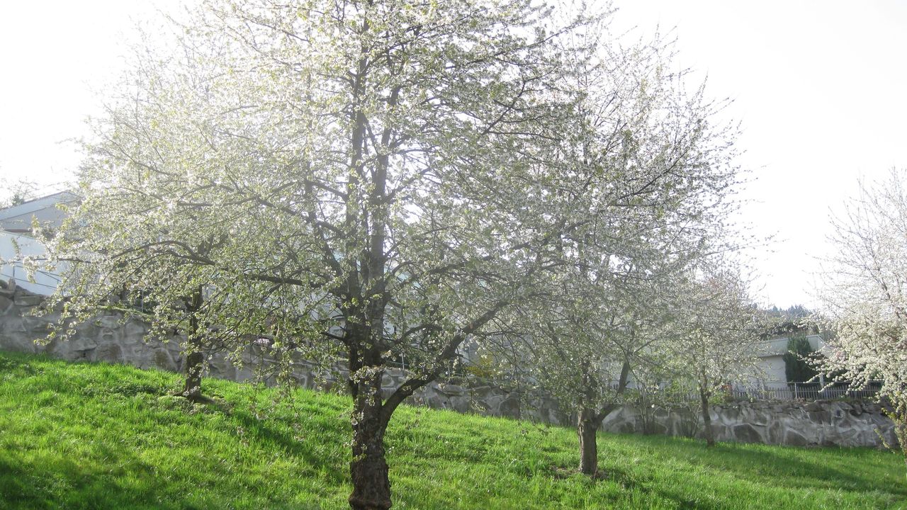 OUTSIDE OUTSIDE